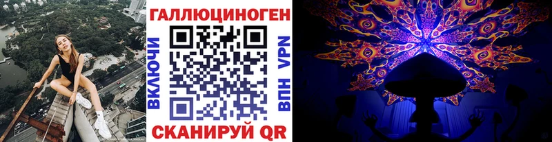 где купить наркоту  Алзамай  Псилоцибиновые грибы мицелий 