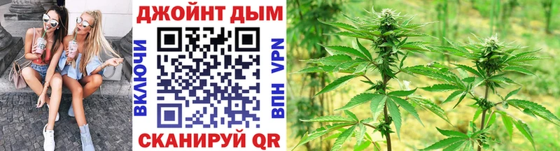 Бошки марихуана сатива  Алзамай 